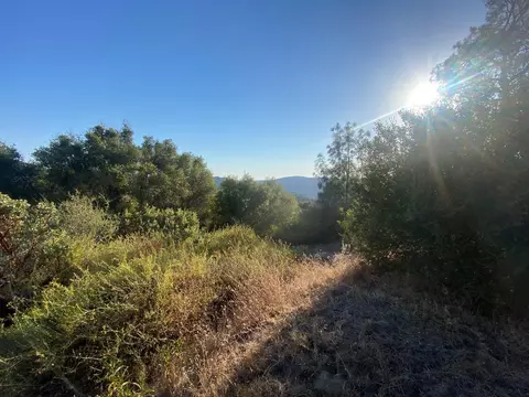 53748 Dogwood Dr, North Fork, CA 93643 photo 7