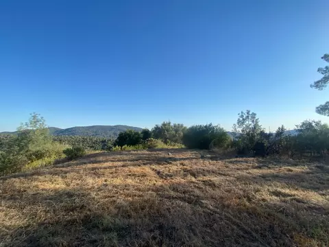 53748 Dogwood Dr, North Fork, CA 93643 photo 1
