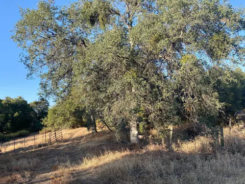 53748 Dogwood Dr, North Fork, CA 93643 photo 15