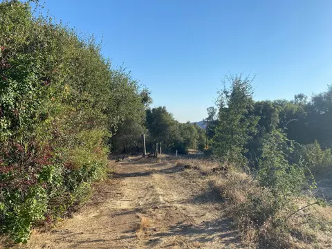 53748 Dogwood Dr, North Fork, CA 93643 photo 4