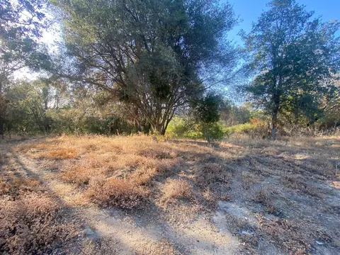 53748 Dogwood Dr, North Fork, CA 93643 photo 10