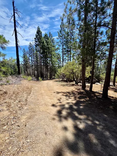 167 Pine Cone Path, North Fork, CA 93643 photo 60