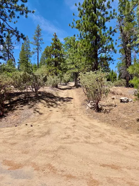 167 Pine Cone Path, North Fork, CA 93643 photo 57
