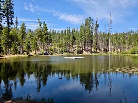 167 Pine Cone Path, North Fork, CA 93643 photo 39