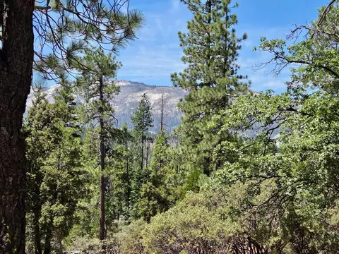 167 Pine Cone Path, North Fork, CA 93643 photo 20