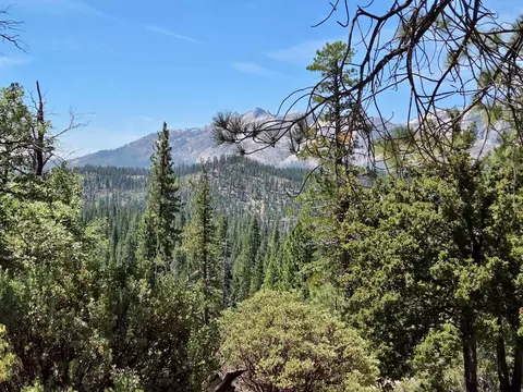 167 Pine Cone Path, North Fork, CA 93643 photo 19