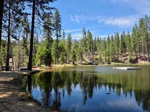 167 Pine Cone Path, North Fork, CA 93643 photo 40