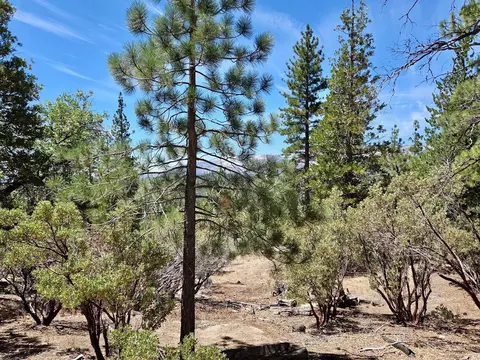 167 Pine Cone Path, North Fork, CA 93643 photo 5