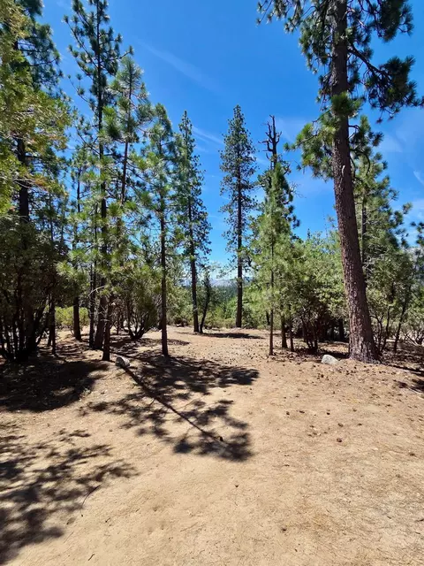 167 Pine Cone Path, North Fork, CA 93643 photo 14