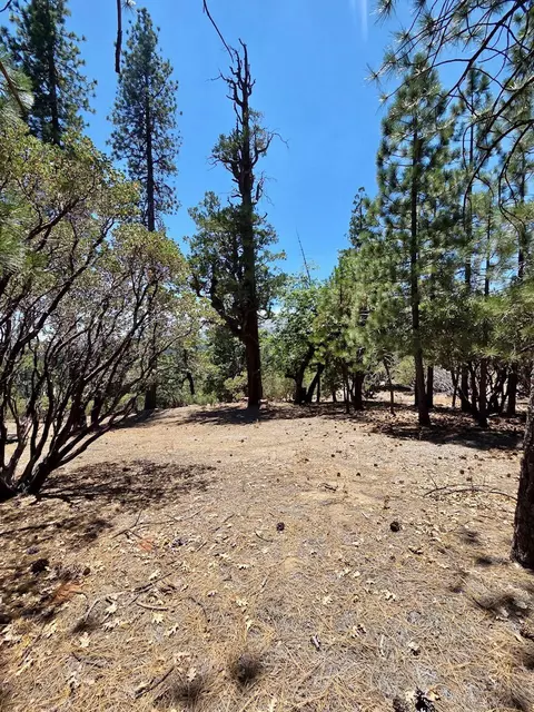 167 Pine Cone Path, North Fork, CA 93643 photo 17