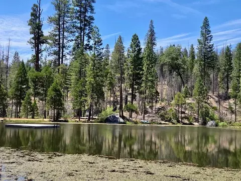 167 Pine Cone Path, North Fork, CA 93643 photo 41