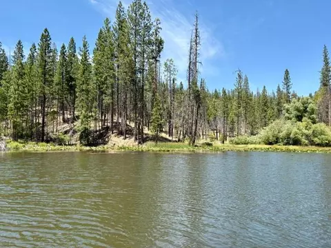 167 Pine Cone Path, North Fork, CA 93643 photo 51