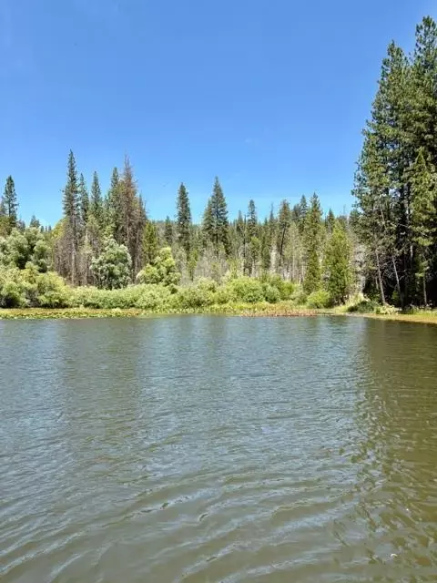 167 Pine Cone Path, North Fork, CA 93643 photo 48