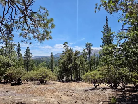 167 Pine Cone Path, North Fork, CA 93643 photo 15