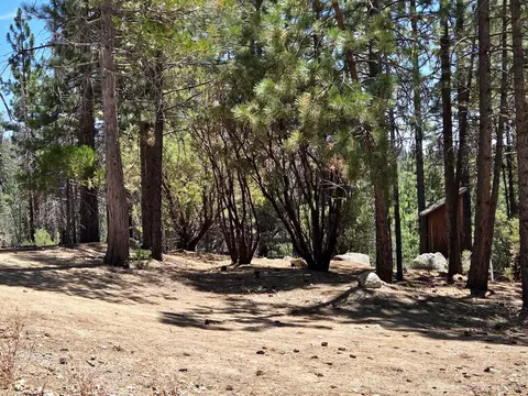 167 Pine Cone Path, North Fork, CA 93643 photo 7