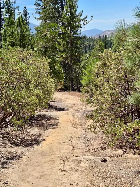 167 Pine Cone Path, North Fork, CA 93643 photo 58