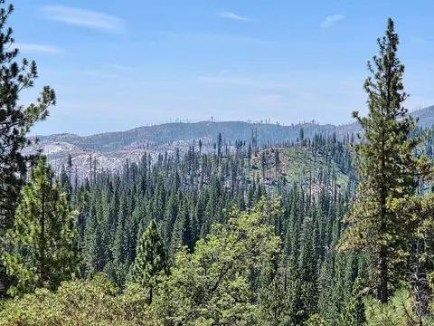 167 Pine Cone Path, North Fork, CA 93643 photo 3