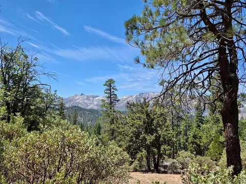 167 Pine Cone Path, North Fork, CA 93643 photo 18