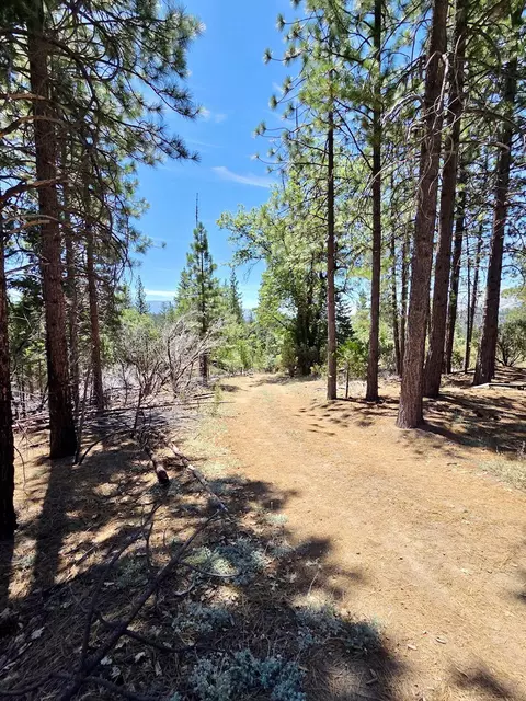 167 Pine Cone Path, North Fork, CA 93643 photo 61