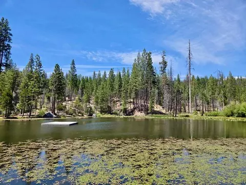 167 Pine Cone Path, North Fork, CA 93643 photo 49