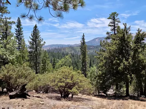 167 Pine Cone Path, North Fork, CA 93643 photo 6