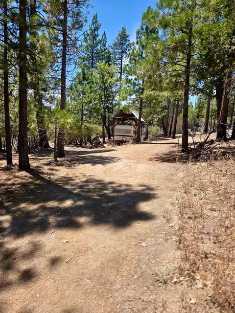 167 Pine Cone Path, North Fork, CA 93643 photo 10