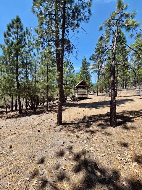 167 Pine Cone Path, North Fork, CA 93643 photo 13