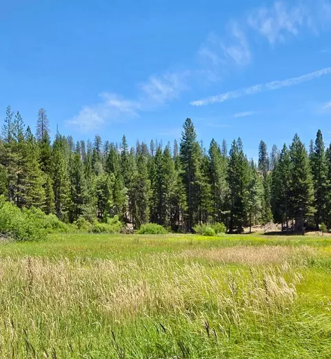 167 Pine Cone Path, North Fork, CA 93643 photo 32