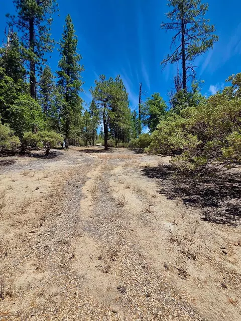 167 Pine Cone Path, North Fork, CA 93643 photo 16