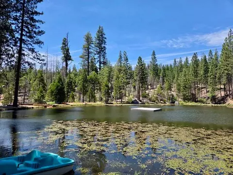 167 Pine Cone Path, North Fork, CA 93643 photo 50