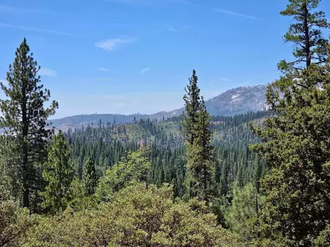 167 Pine Cone Path, North Fork, CA 93643 photo 21
