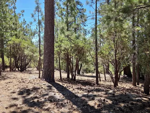 167 Pine Cone Path, North Fork, CA 93643 photo 8