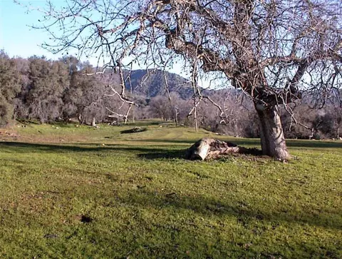 Exterior - 39950 Millwood Rd, Dunlap, CA 93621 photo 6 of 16