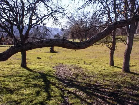 Other - 39950 Millwood Rd, Dunlap, CA 93621 photo 6 of 31