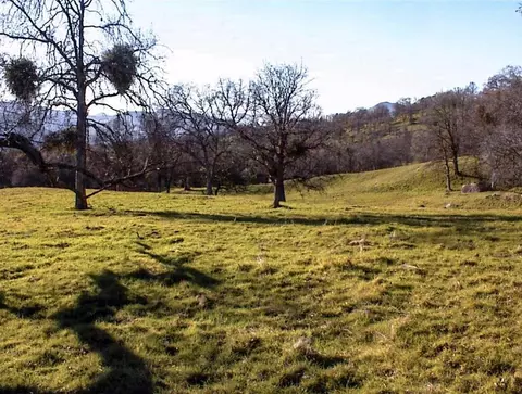 Other - 39950 Millwood Rd, Dunlap, CA 93621 photo 19 of 31