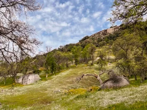 Other - 39950 Millwood Rd, Dunlap, CA 93621 photo 23 of 31