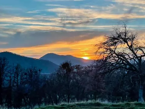 Other - 39950 Millwood Rd, Dunlap, CA 93621 photo 21 of 31