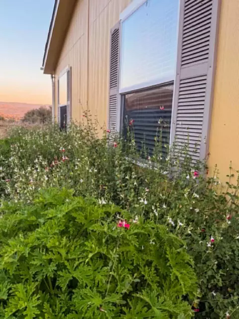 Other - 39950 Millwood Rd, Dunlap, CA 93621 photo 30 of 31
