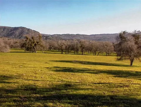 Other - 39950 Millwood Rd, Dunlap, CA 93621 photo 9 of 31