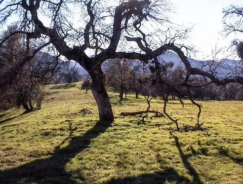 Other - 39950 Millwood Rd, Dunlap, CA 93621 photo 18 of 31