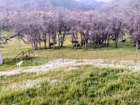 Other - 39950 Millwood Rd, Dunlap, CA 93621 photo 27 of 31