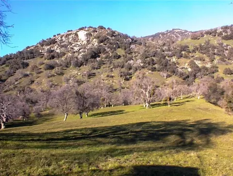 Other - 39950 Millwood Rd, Dunlap, CA 93621 photo 20 of 31