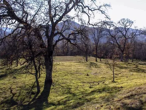 Other - 39950 Millwood Rd, Dunlap, CA 93621 photo 13 of 31