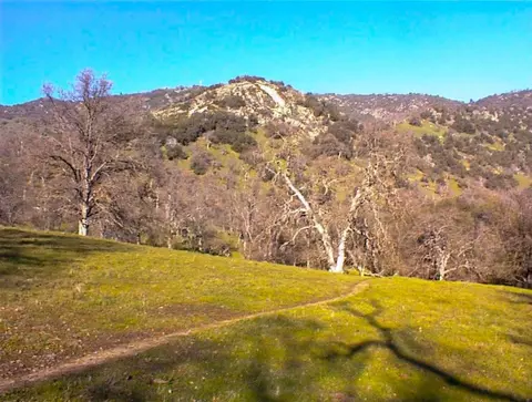 Other - 39950 Millwood Rd, Dunlap, CA 93621 photo 16 of 31