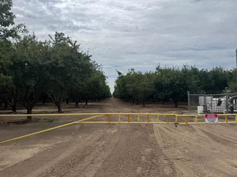 18700 Road 16, Chowchilla, CA 93610 photo 2