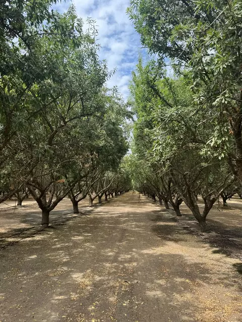 18700 Road 16, Chowchilla, CA 93610 photo 7
