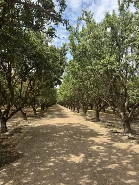 18700 Road 16, Chowchilla, CA 93610 photo 4