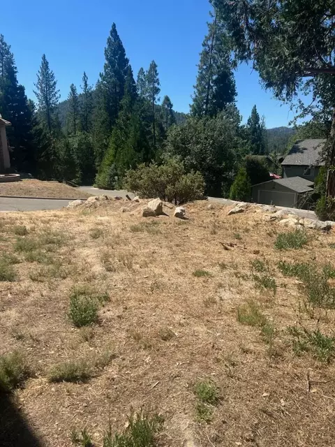 53974 Dogwood Creek Dr, Bass Lake, CA 93604