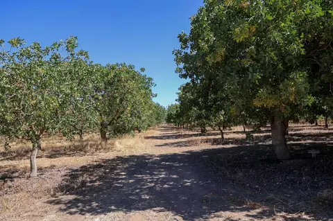 Exterior - 0 20 12 Ave, Madera, CA 93638 photo 1 of 1