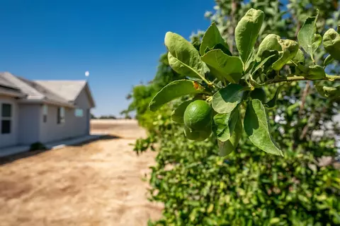 Exterior - 13212 E Shaw Ave, Sanger, CA 93657 photo 11 of 12